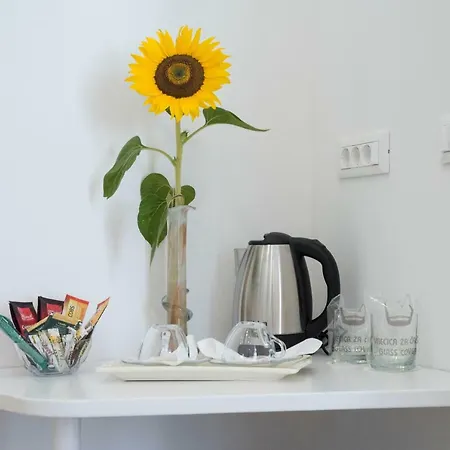 Art Guest house